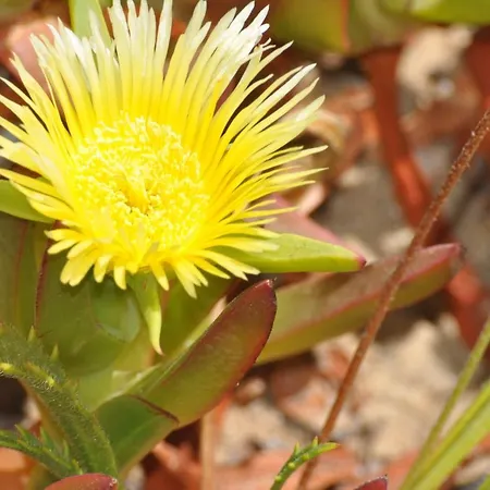 Casa Eleonora 라고스