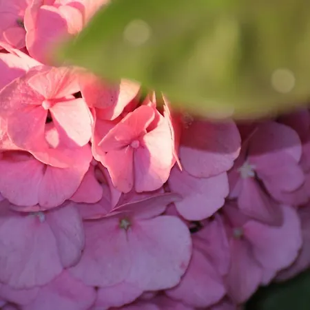 Casa Eleonora 라고스