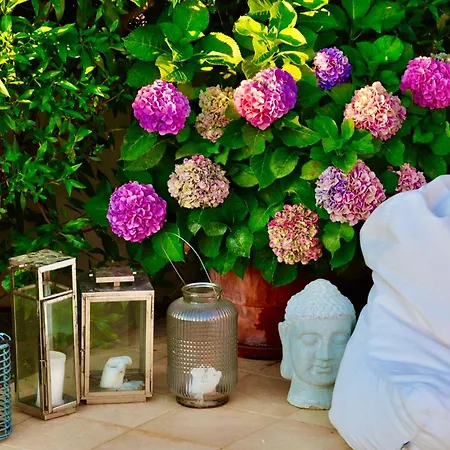 Casa Eleonora Oda ve Kahvaltı